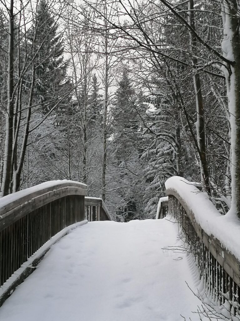 Kaarisilta talvella